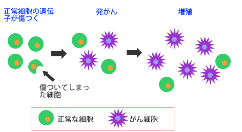 癌のイメージ